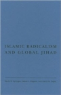 Islamic Radicalism and Global Jihad - Book