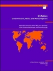 Deflation : Determinants, Risks and Policy Options - Book
