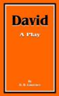 David : A Play - Book