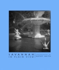 Savannah in Plain View - Book