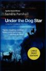 Under the Dog Star : A Rachel Goddard Mystery - Book