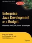 Enterprise Java Development on a Budget : Leveraging Java Open Source Technologies - Book
