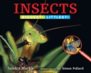 Insects : Biggest! Littlest! - Book