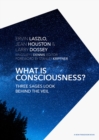 What is Consciousness? : Three Sages Look Behind the Veil - Book