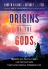 Origins of the Gods : Qesem Cave, Skinwalkers, and Contact with Transdimensional Intelligences - eBook