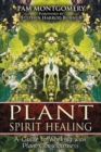 Plant Spirit Healing : A Guide to Working with Plant Consciousness - eBook