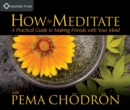 How to Meditate with Pema Chodron : A Practical Guide to Making Friends with Your Mind - Book
