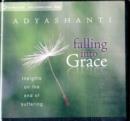 Falling into Grace : Insights on the End of Suffering - Book