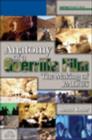 Anatomy of a Guerrilla Film : the Making of  "Radius" - Book