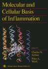 Molecular and Cellular Basis of Inflammation - eBook