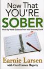 Now That You Are Sober - Book