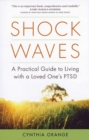 Shock Waves - Book
