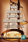 What Motivates Fairness in Organizations? - Book
