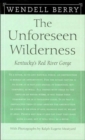 The Unforeseen Wilderness : Kentucky's Red River Gorge - Book