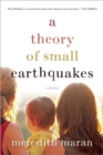 A Theory Of Small Earthquakes - Book