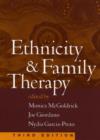 Ethnicity and Family Therapy, Third Edition - Book