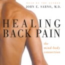 Healing Back Pain : The Mind-Body Connection - eAudiobook