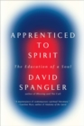 Apprenticed To Spirit : The Education of a Soul - Book