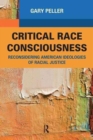 Critical Race Consciousness : The Puzzle of Representation - Book