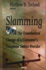 Slamming : The Unauthorized Change of a Consumer's Telephone Service Provider - Book