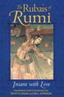 The Rubais of Rumi : Insane with Love - eBook