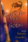 Choices Meant for Gods - Book
