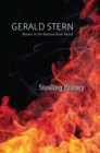 Stealing History - Book