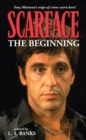 Scarface Volume 1: The Beginning Volume - Book