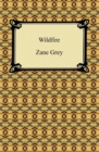 Wildfire - eBook