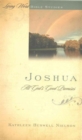 Joshua: All God's Good Promises - Book
