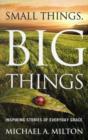 Small Things, Big Things : Inspiring Stories of Everyday Grace - Book