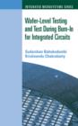 Wafer-Level Testing and Test During Burn-In for Integrated Circuits - eBook