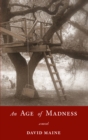 An Age of Madness : A Novel - eBook