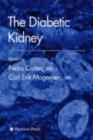 The Diabetic Kidney - eBook