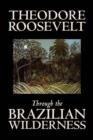Through the Brazilian Wilderness - Book