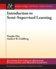 Introduction to Semi-Supervised Learning - Book