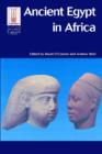 Ancient Egypt in Africa - Book