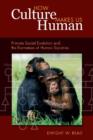 How Culture Makes Us Human : Primate Social Evolution and the Formation of Human Societies - Book