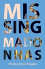 Missing Madonnas - Book