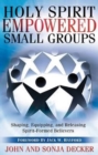 Holy Spirit Empowered Small Groups - Book