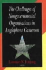 Challenges of Nongovernmental Organisations in Anglophone Cameroon - Book