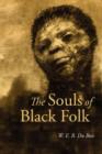 The Souls of Black Folk, Large-Print Edition - Book