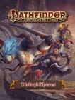 Pathfinder Campaign Setting: Distant Shores Gazetteer - Book