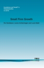 Small Firm Growth - Book