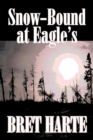 Snow-Bound at Eagle's by Bret Harte, Fiction, Literary, Westerns, Historical - Book