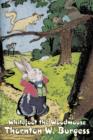 Whitefoot the Woodmouse by Thornton Burgess, Fiction, Animals, Fantasy & Magic - Book