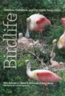 Birdlife of Houston, Galveston, and the Upper Texas Coast - eBook