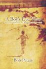 A Boy's Eye View : The Great Depression and World War II 1929-1945 - Book