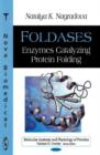 Foldases : Enzymes Catalyzing Protein Folding - Book