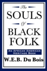 The Souls of Black Folk (An African American Heritage Book) - Book